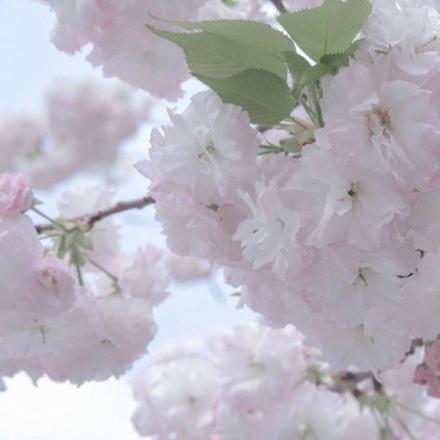 兽设动态姿势参考兽圈社群